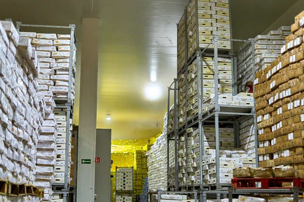 A propos usine au port cmp igloo (5)